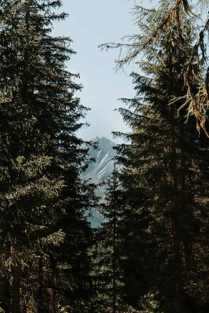 Hoge, altijd groene bomen omlijsten een verre, rotsachtige bergtop onder een heldere hemel, waardoor een natuurlijk venster door het bos ontstaat - een uitnodigend tafereel voor een roadtrip in Valle d'Aosta.