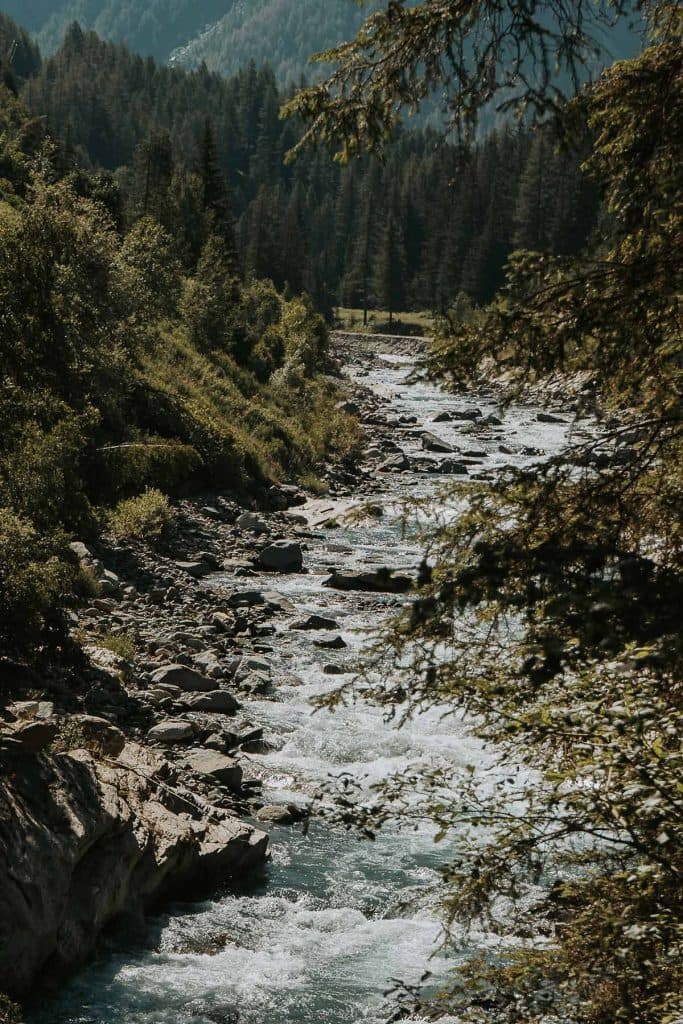 Een rivier met helder stromend water kronkelt door een rotsachtig, bebost landschap met hoge bomen en bergen in de verte onder het zonlicht - een idyllisch tafereel dat perfect is voor een roadtrip in Valle d'Aosta.