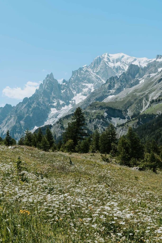 Een weelderige alpenweide in Valle d'Aosta barst van de wilde bloemen en groene bomen, tegen ruige, besneeuwde bergtoppen onder een helderblauwe hemel - echte Bergenmagie.