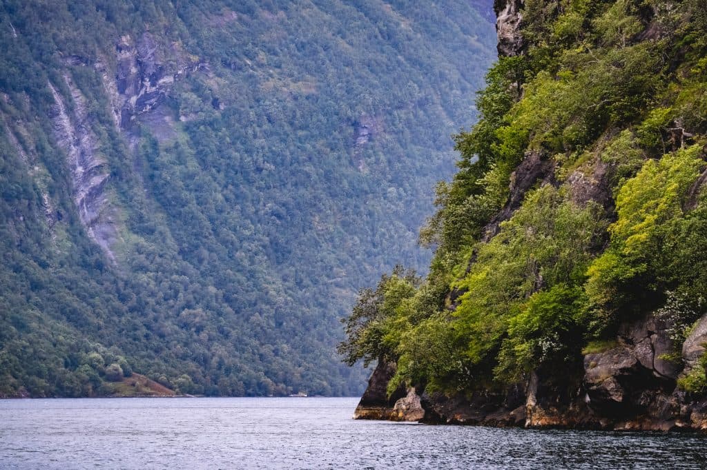 Steile, met bomen bedekte kliffen rijzen op boven een kalme fjord, met weelderig groen gebladerte en rotsachtige oppervlakken zichtbaar; Noorwegen Nomaden zouden deze bergen, bedekt met dichte bossen, kunnen verkennen onder de magische middernachtzon.