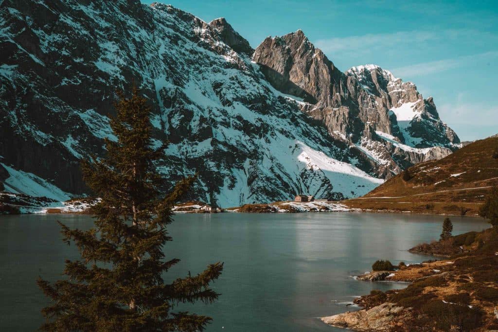Een sereen alpenmeer weerspiegelt besneeuwde, ruige bergen onder een helderblauwe hemel. Een dennenboom staat op de voorgrond en het landschap is bezaaid met stukjes gras en rotsen.