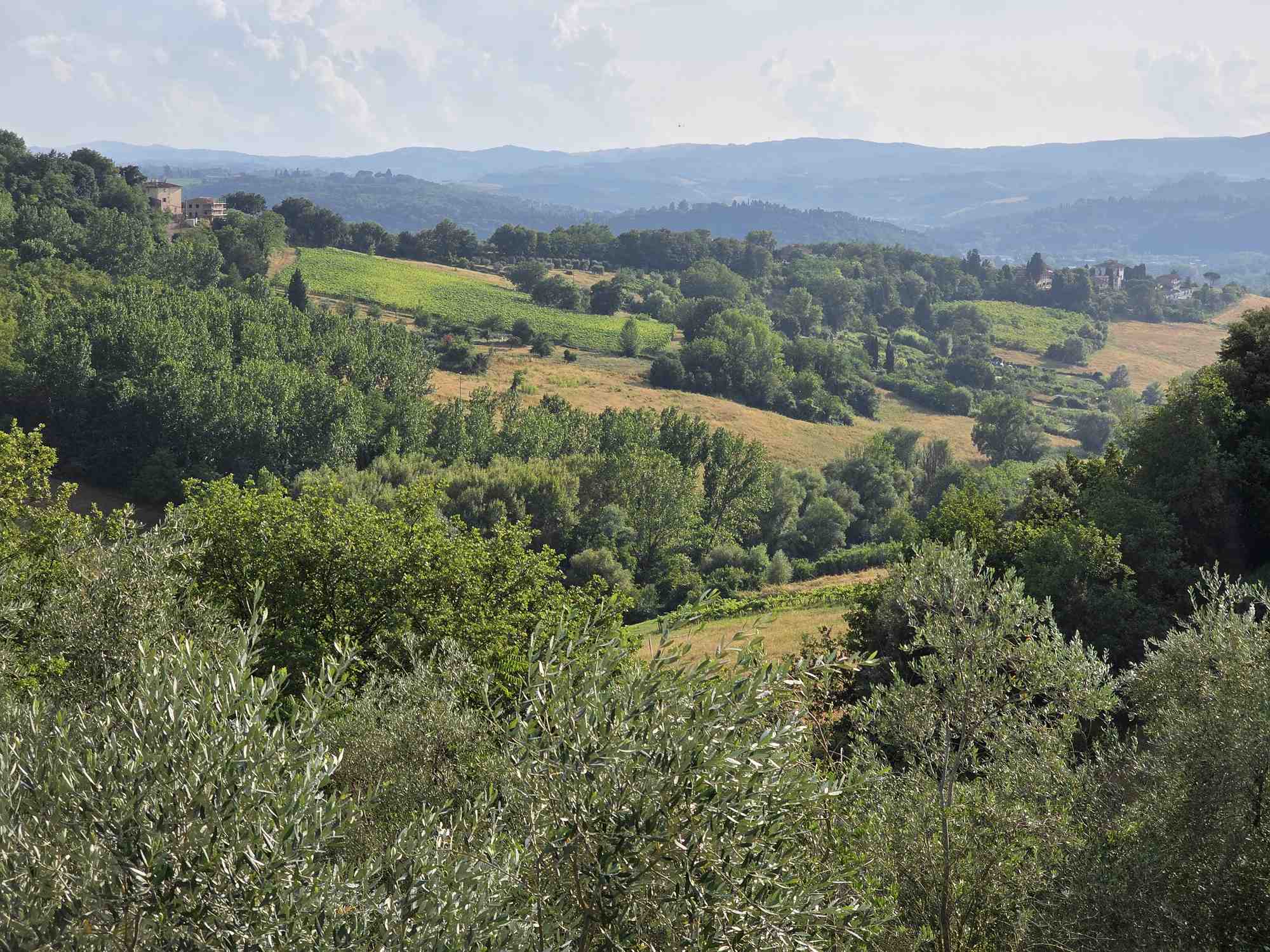 Roadtrip door Toscane met kinderen: van San Gimignano tot Vada