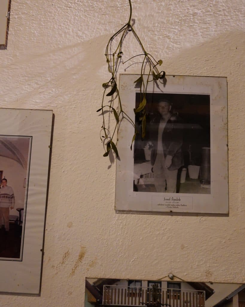 Een takje maretak hangt boven een zwart-witfoto van een man op een beige muur - een van de vele ingelijste herinneringen, misschien uit Tsjechië of met een prinses-iedereen verzameld voor een prikje. De maretak werpt een delicate schaduw op de muur met textuur.