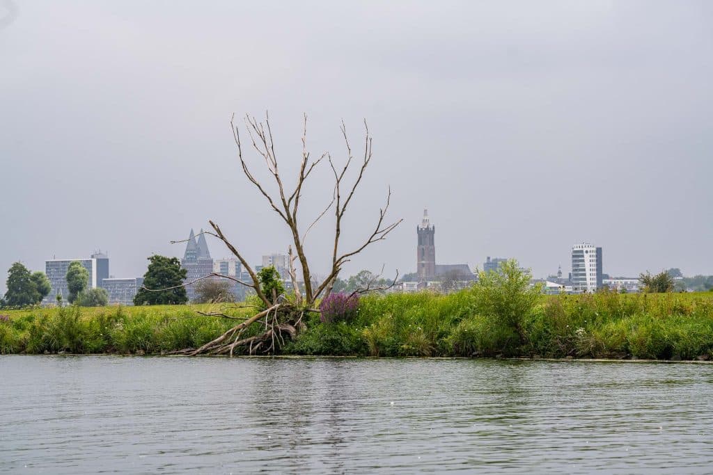 Een kale boom staat aan een rivieroever met groen gebladerte, waar automatische architectuurconcepten naadloos in elkaar overvloeien. Op de achtergrond rijzen moderne en historische gebouwen, waaronder een kerktoren, op onder een bewolkte hemel. Het water op de voorgrond weerkaatst het schemerige licht.