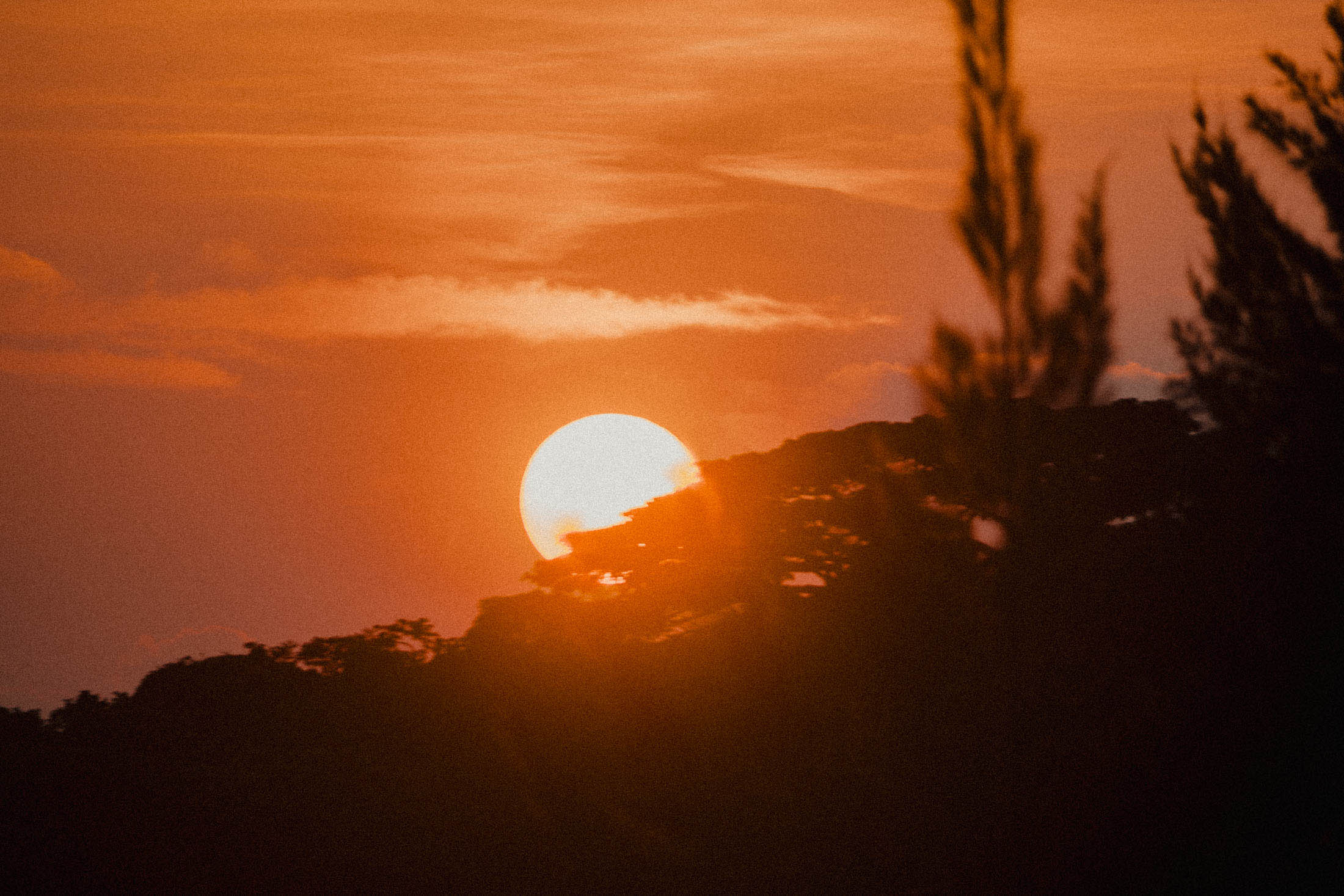 Costa Rica, Surfspots & Pura Vida: het relaxte leven in Dominical en Santa Teresa