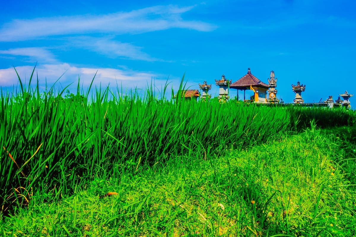 Bali 150422 63