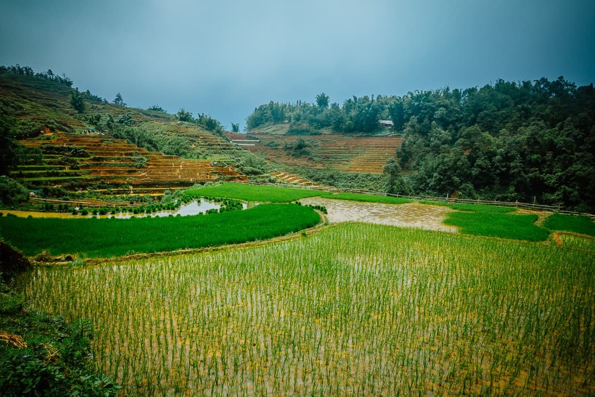 wat doen in vietnam