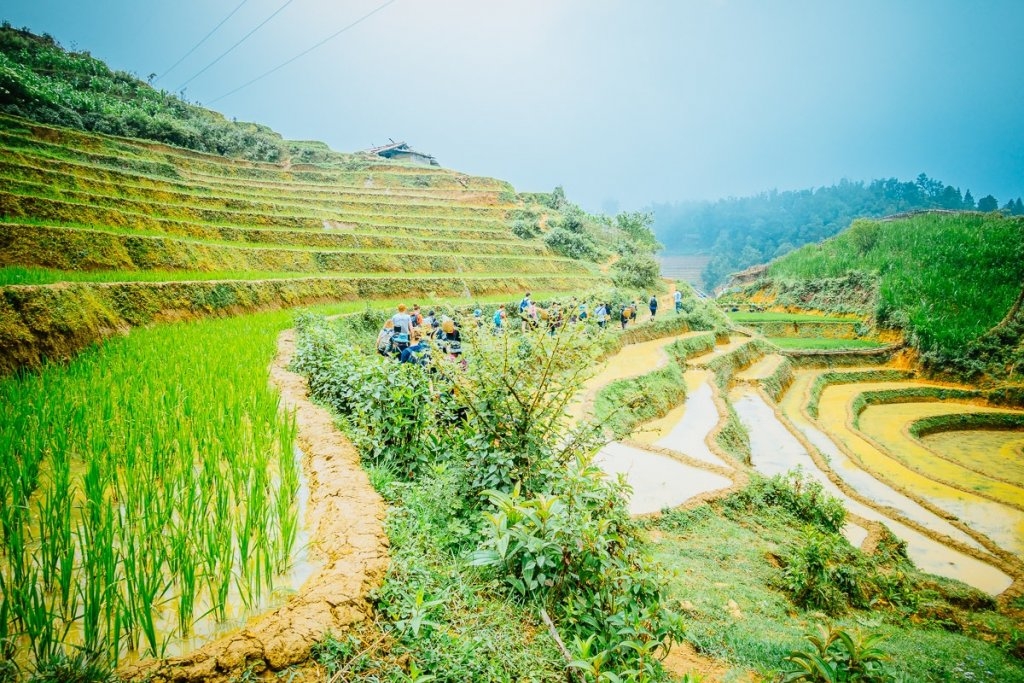 rijstvelden van sapa vietnam bezoeken