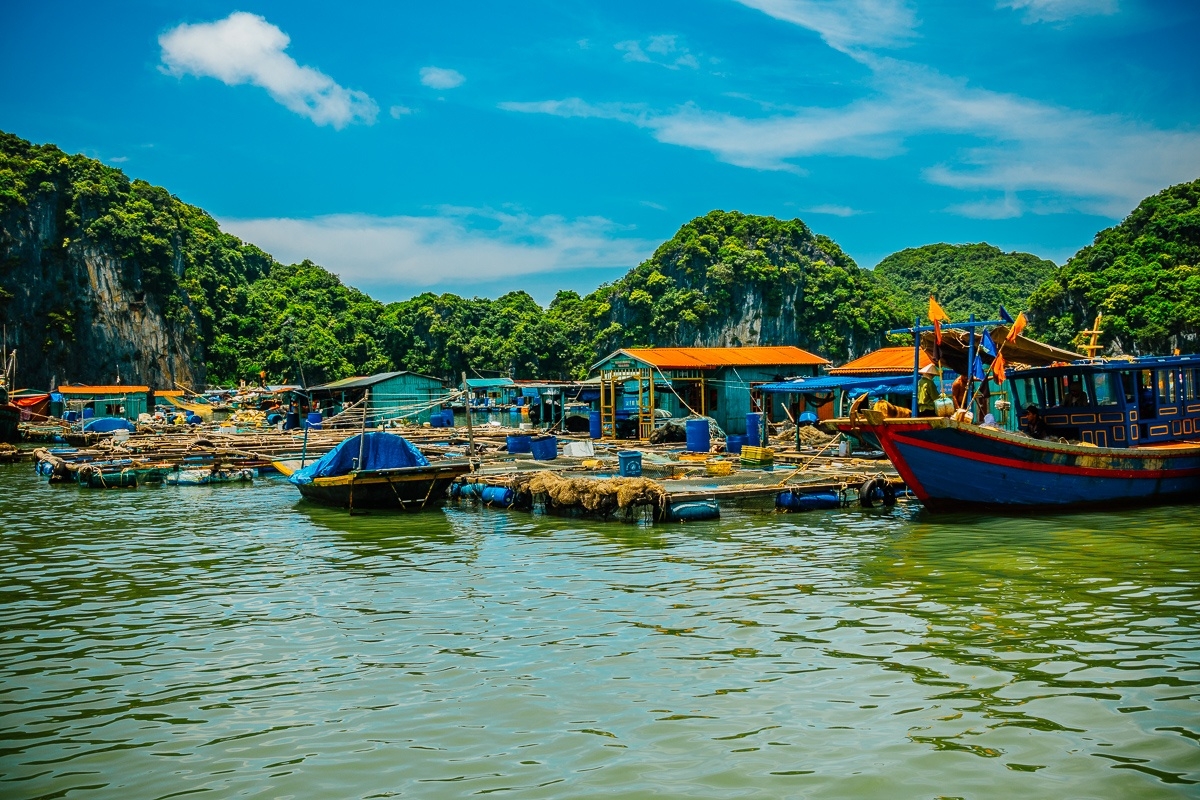 Halong Bay boat tour