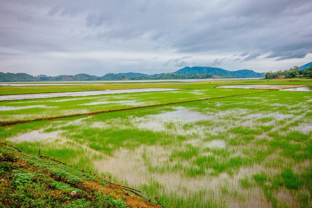 rijstvelden bezoeken vietnam