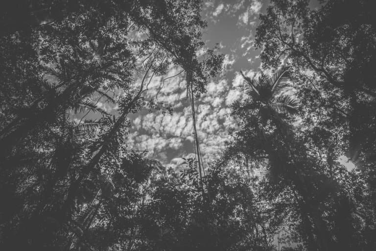 Roadtrip Australie Oostkust