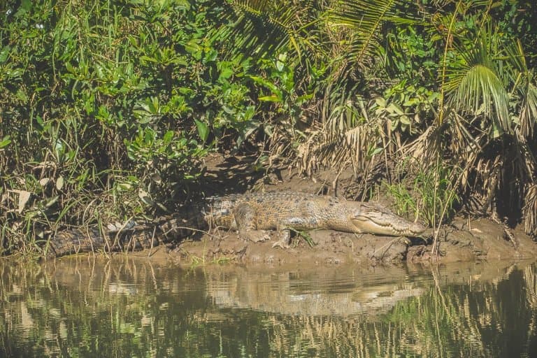 Roadtrip Australie Oostkust