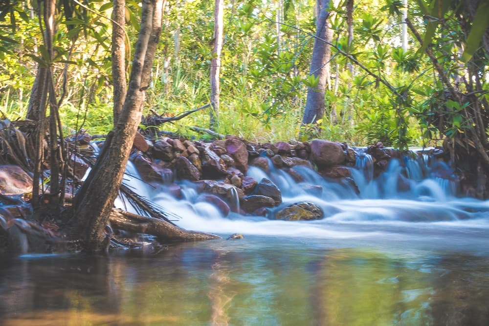 Zwemmen in Litchfield en Kakadu
