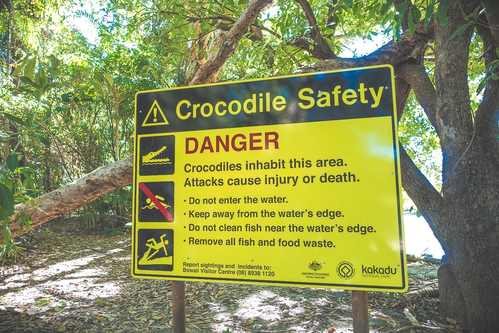 krokodillen veiligheid