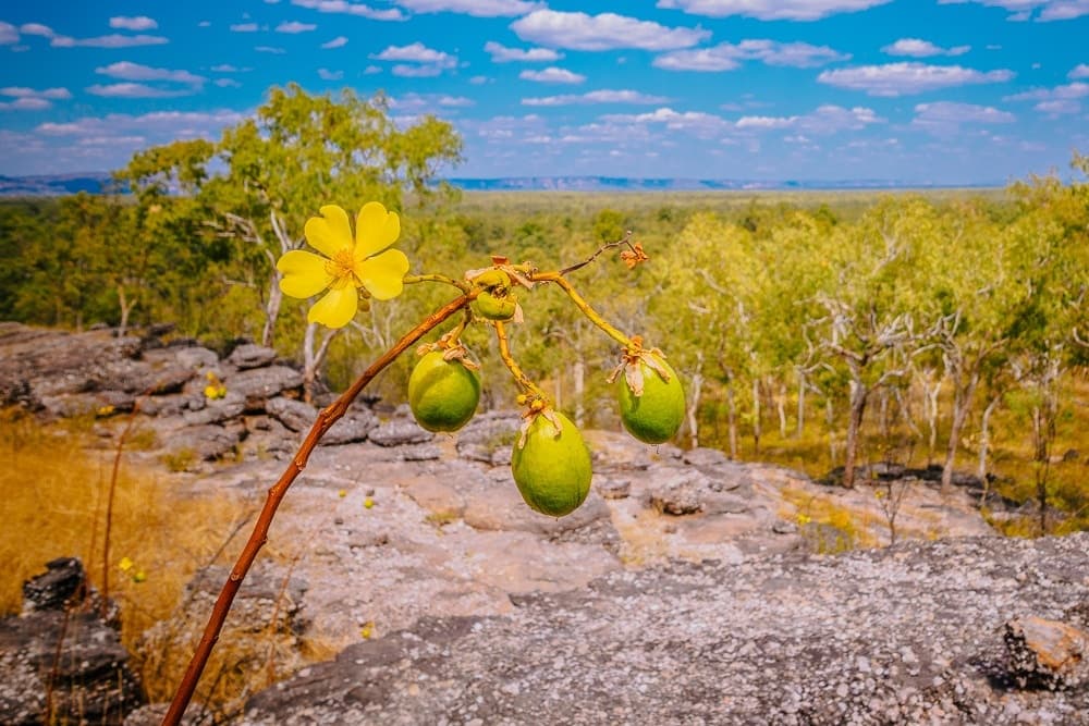 Kakadu National Park