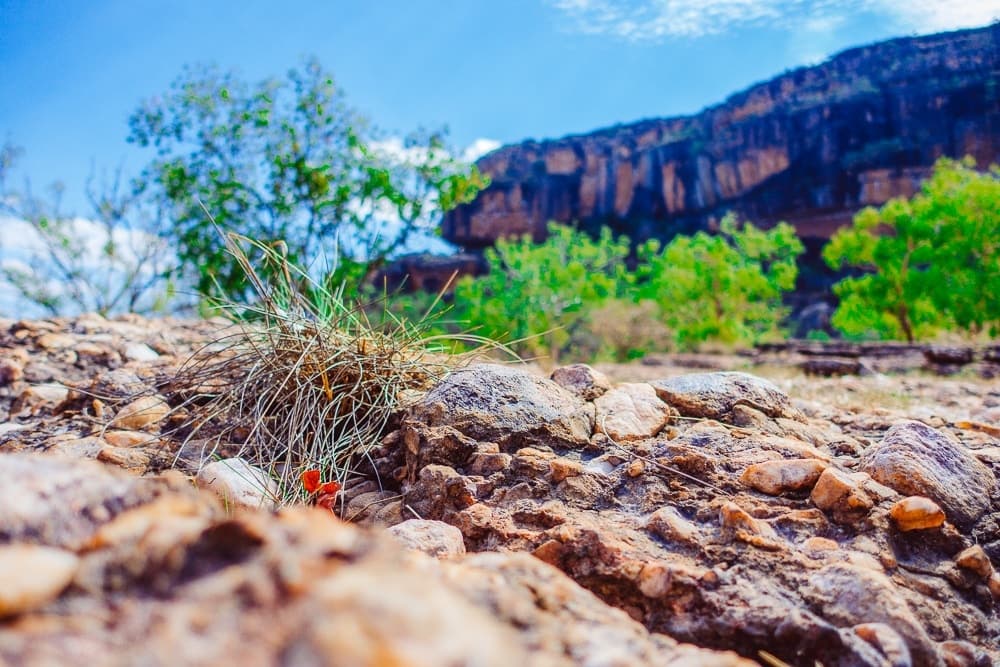 kakadu np