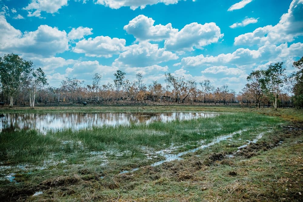 roadtrip Litchfield Kakadu National Park en Katherine Nitmiluk