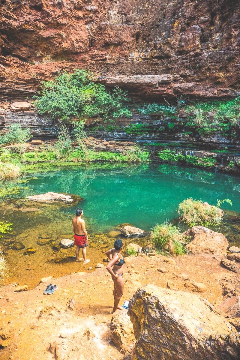 wildzwemmen australie