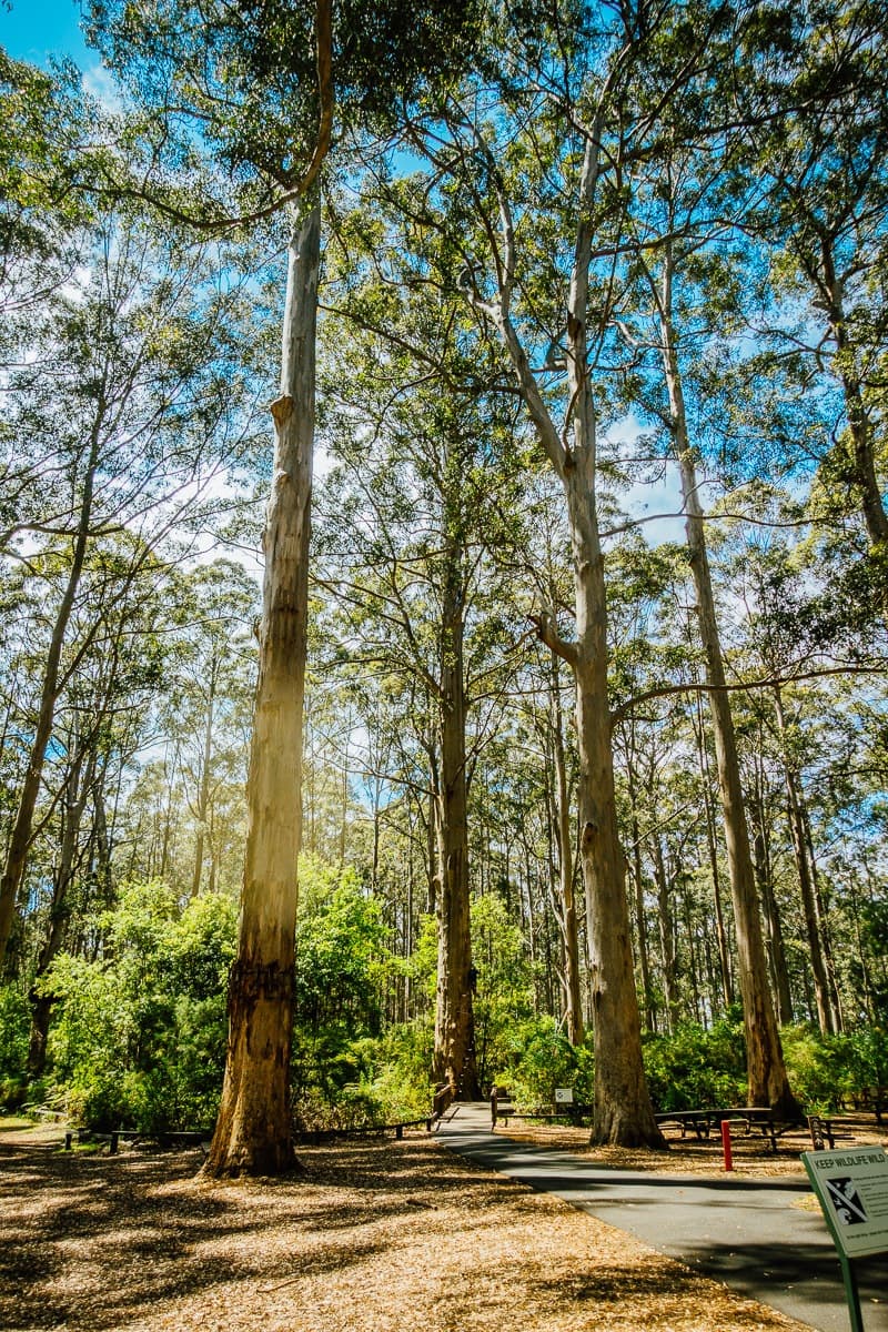 Roadtrip Perth Esperance