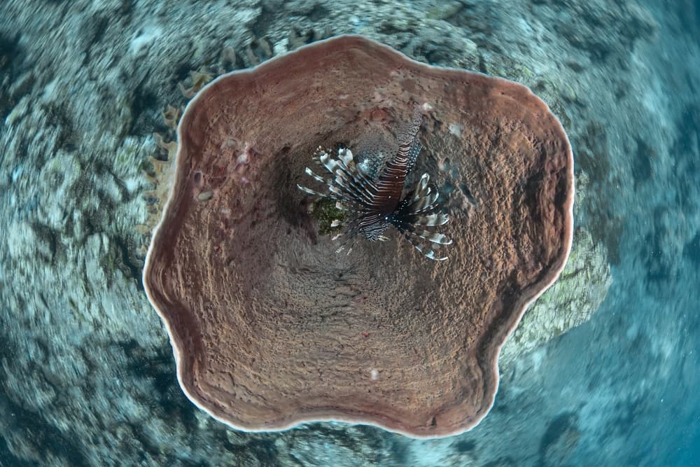 duikspots van thailand