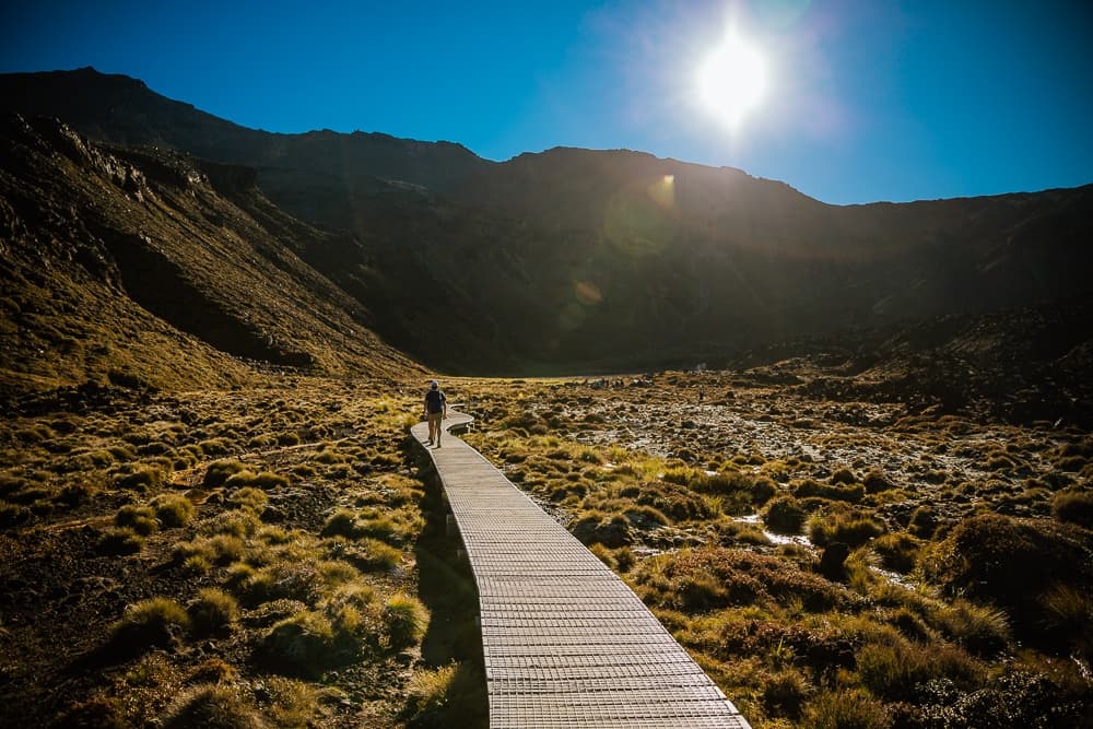 Tongariro Alpine Crossing New Zealand
