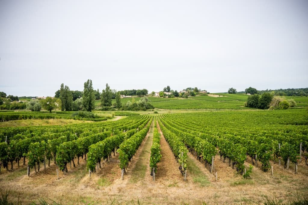 fietsen naar compostela