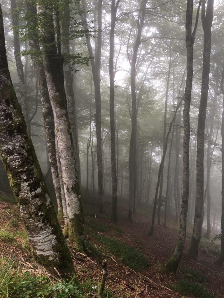 Fietstocht Compostela