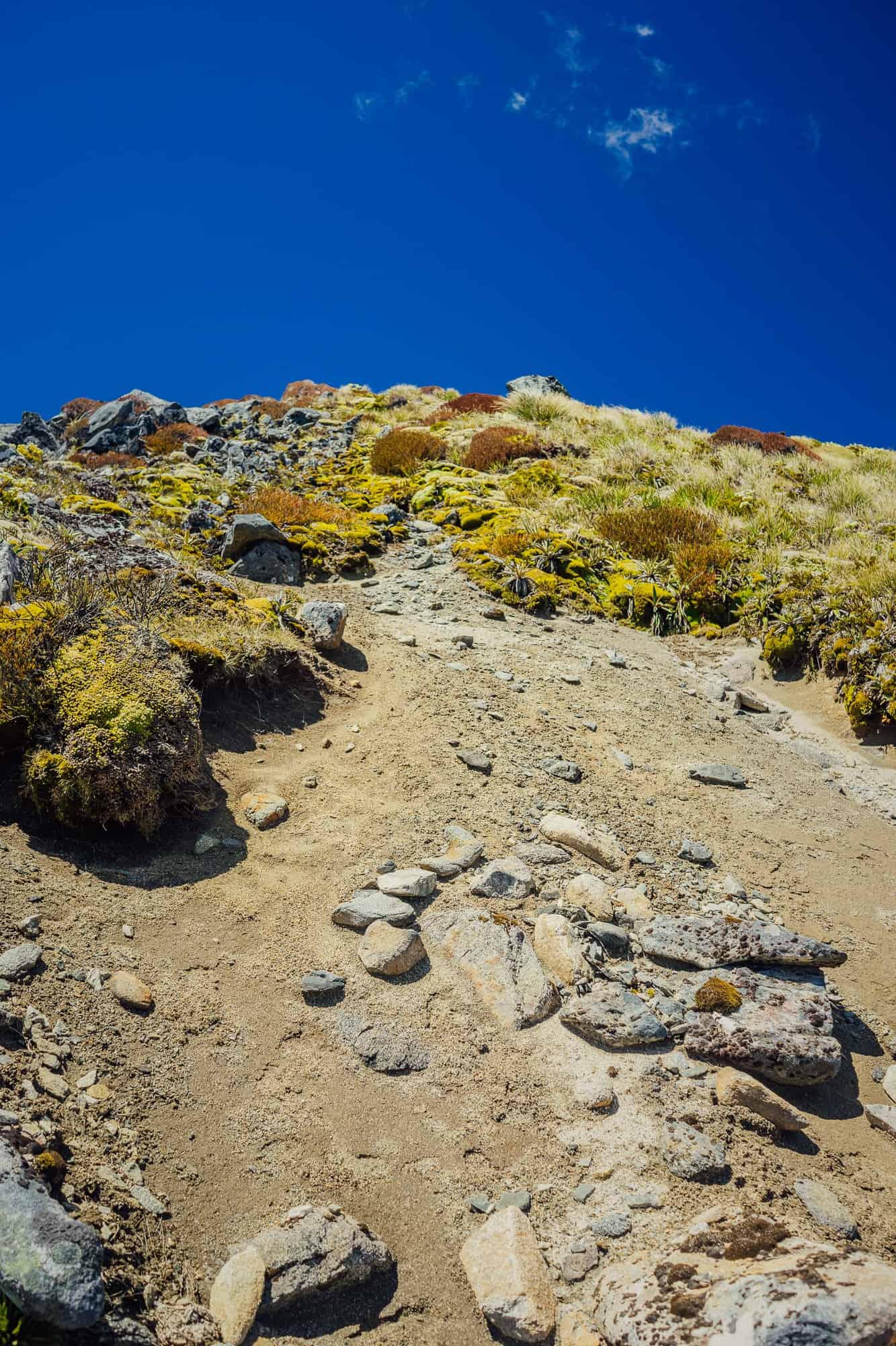 Een steil, rotsachtig bergpad met verspreide stenen slingert zich omhoog door stukken droog gras en mos onder een levendige, helderblauwe hemel - een klassiek tafereel van een trektocht in Nieuw-Zeeland, omringd door ruige natuurlijke vegetatie.