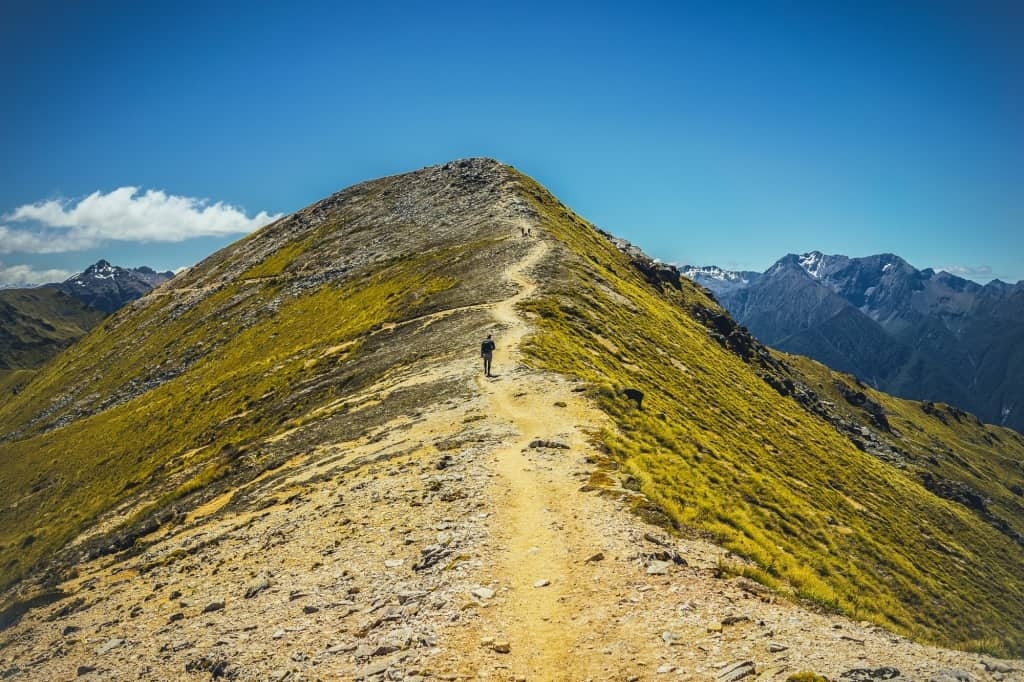 fiordland kepler track