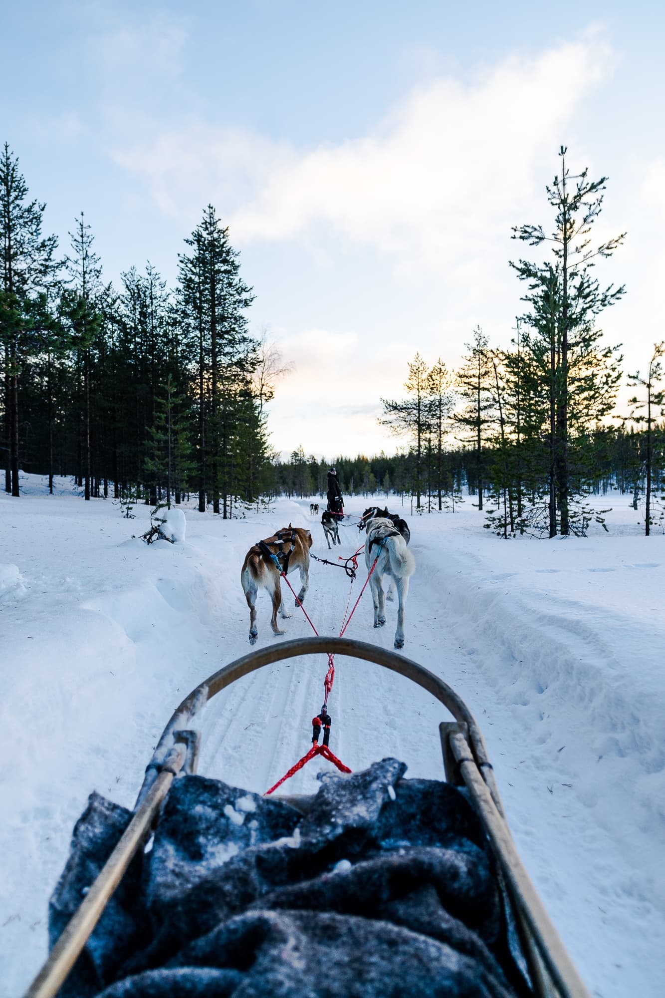 hondenslee finland
