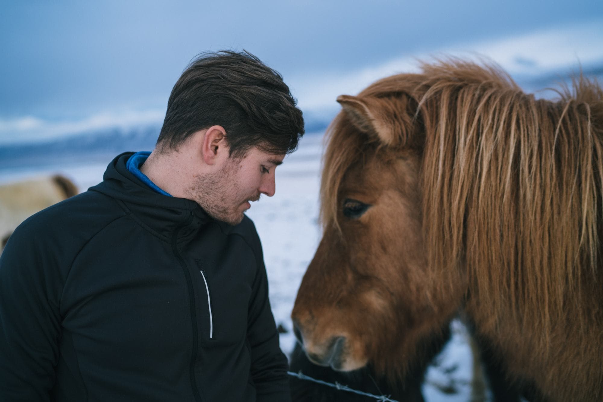 Kamperen in IJsland
