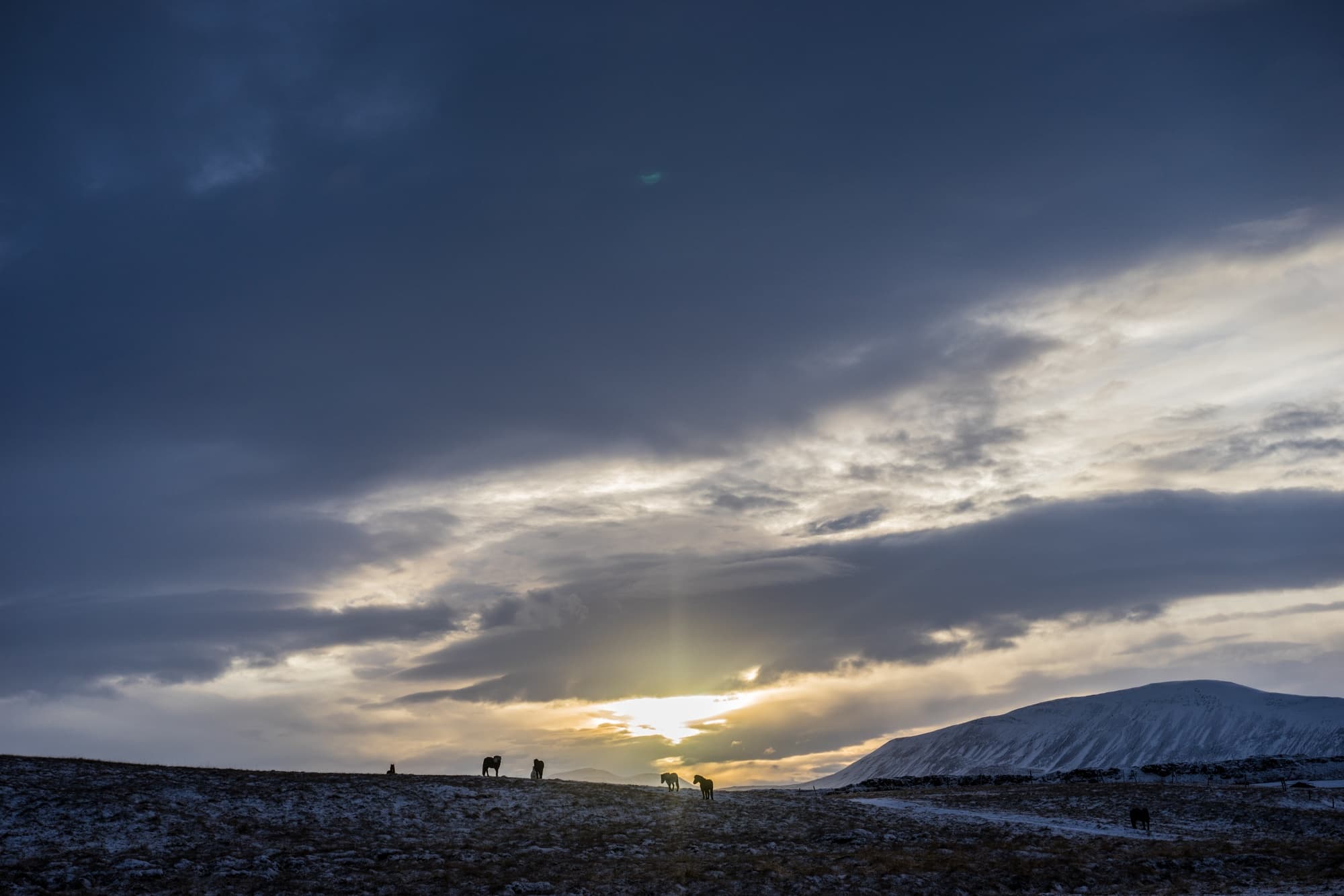 IJsland winter