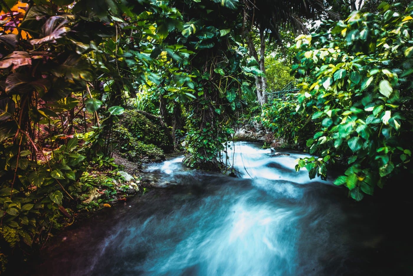 Roaring River Jamaica reistips