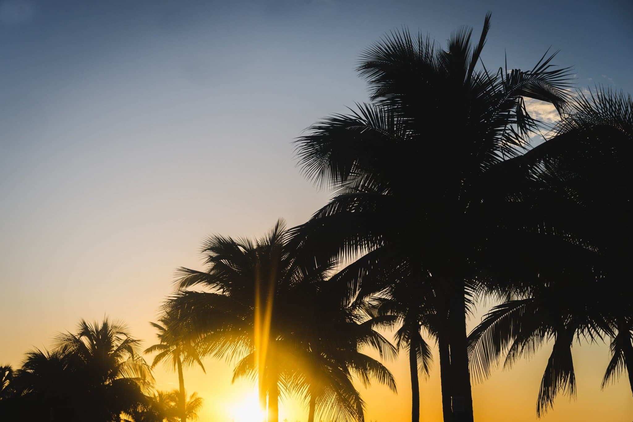jamaica reis tips