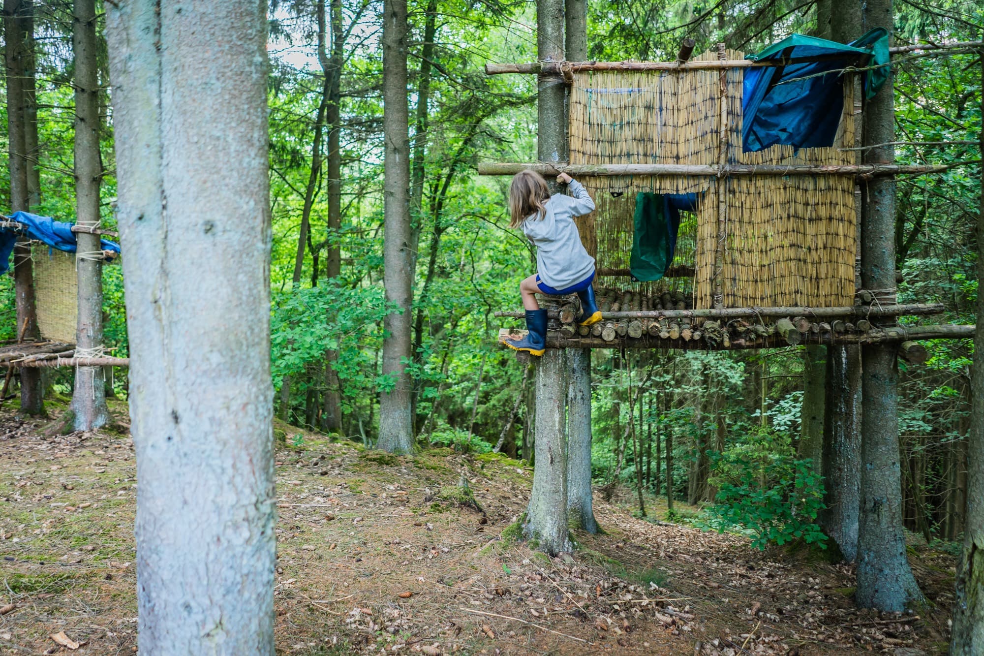 kamperen ardennen
