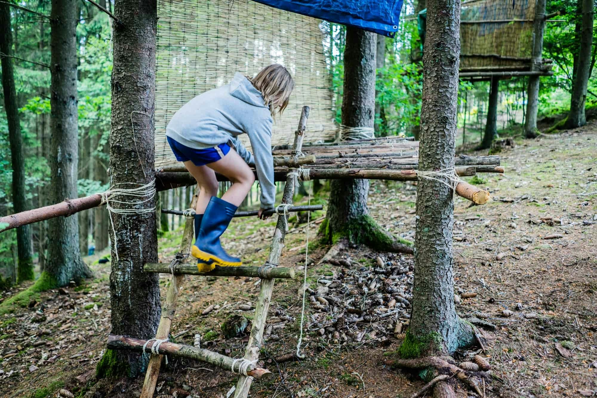 boomhut bouwen in de Ardennen van Belgie