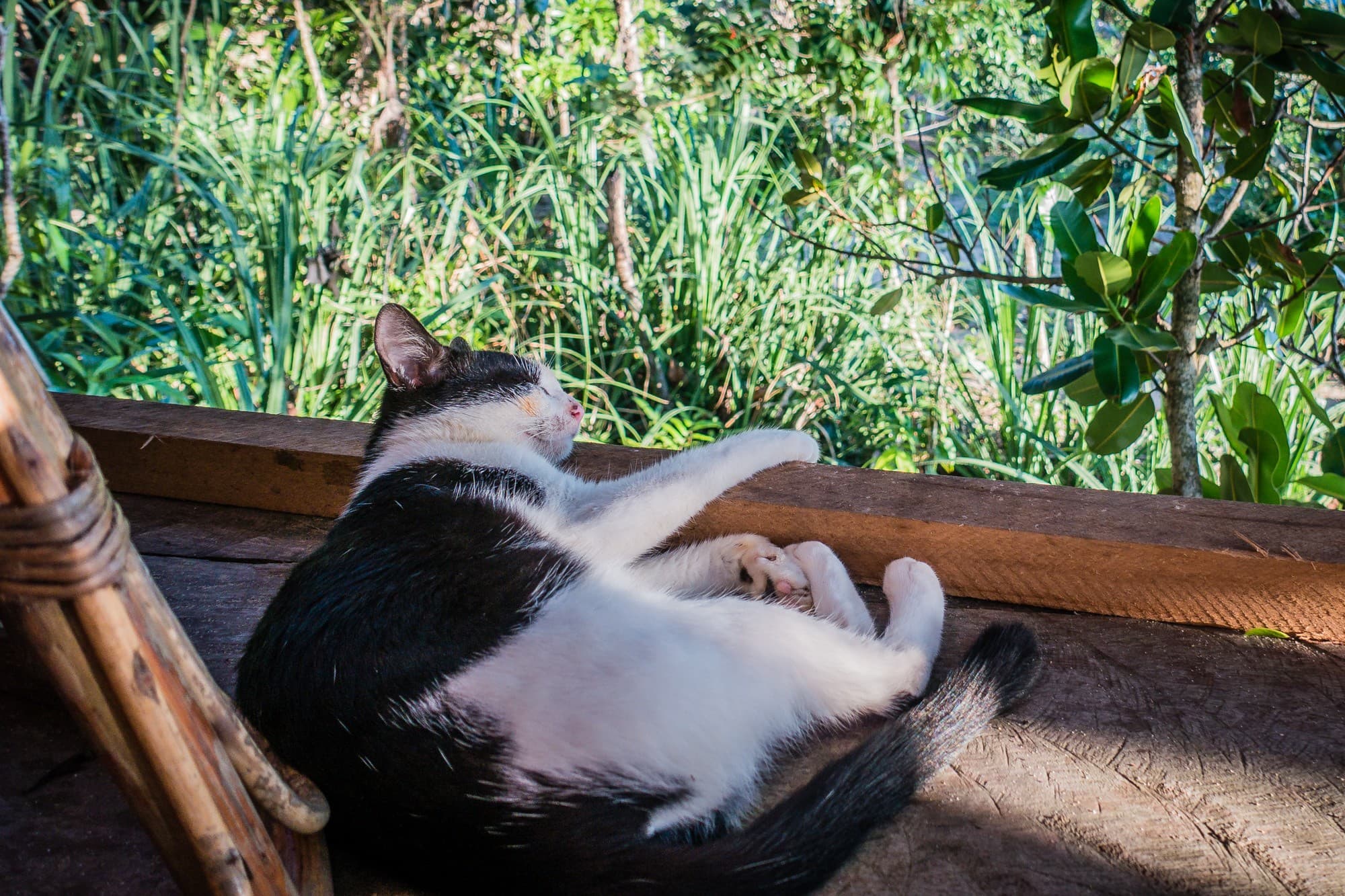 beste eiland van cambodia