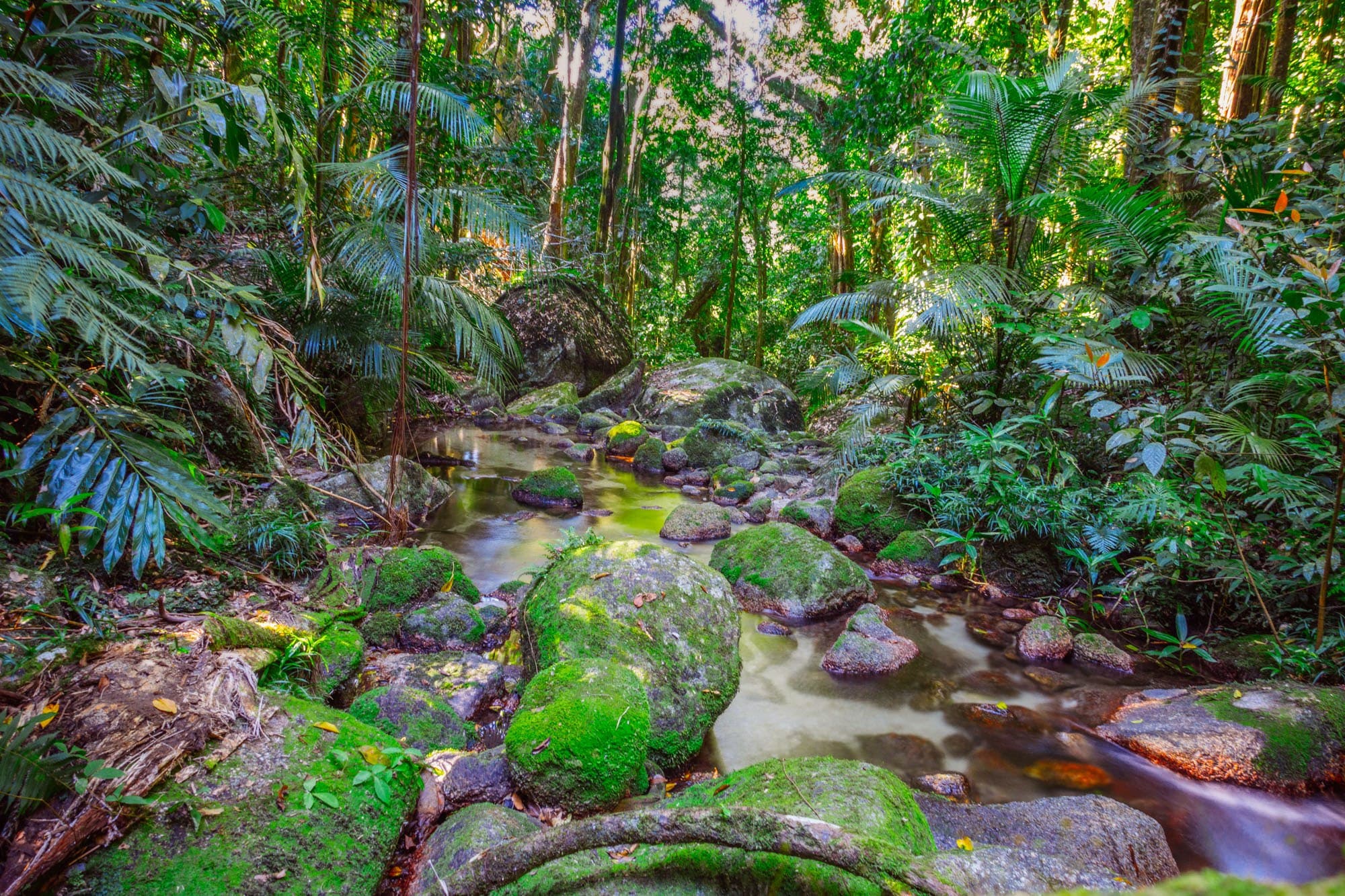 tips voor soloreizen