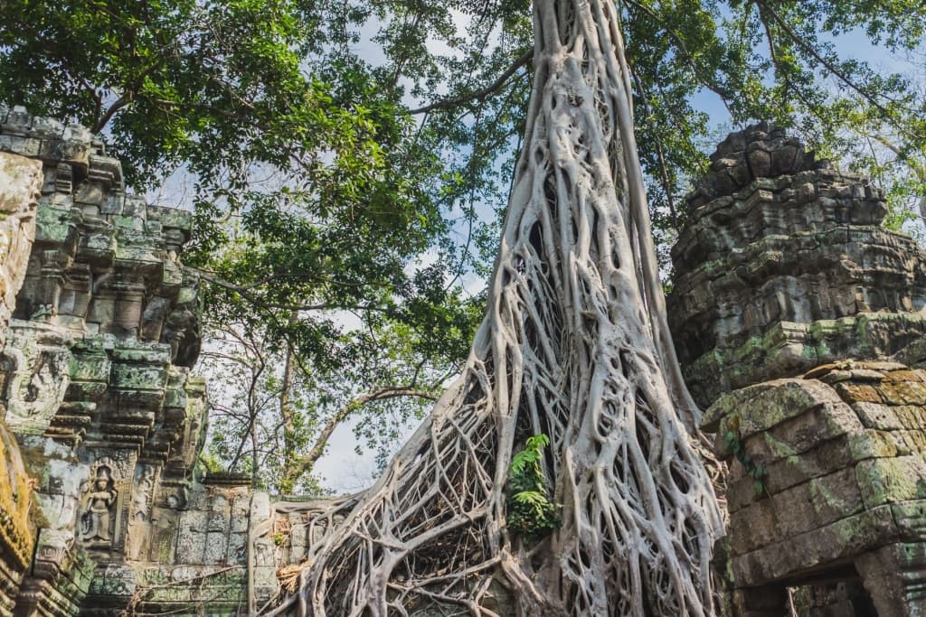 Siem Reap Angkor Wat