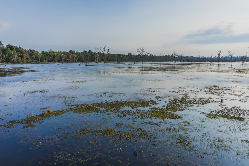 Angkor Wat, Cambodja