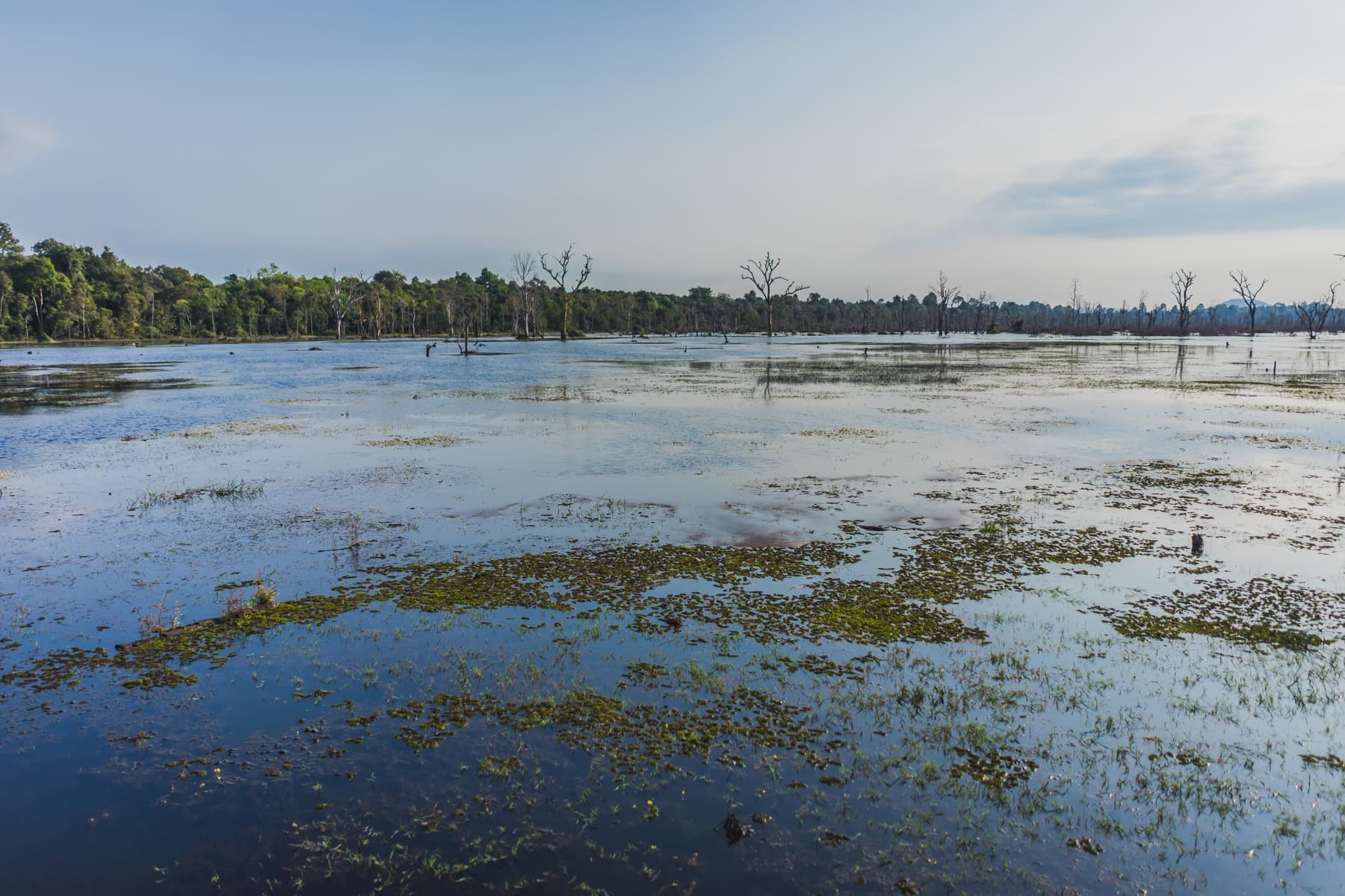 Angkor Wat, Cambodja