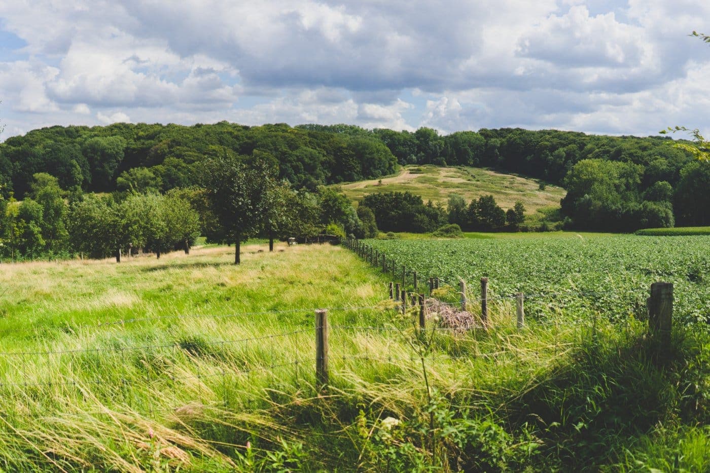 wandelwalhalla vlaamse ardennen
