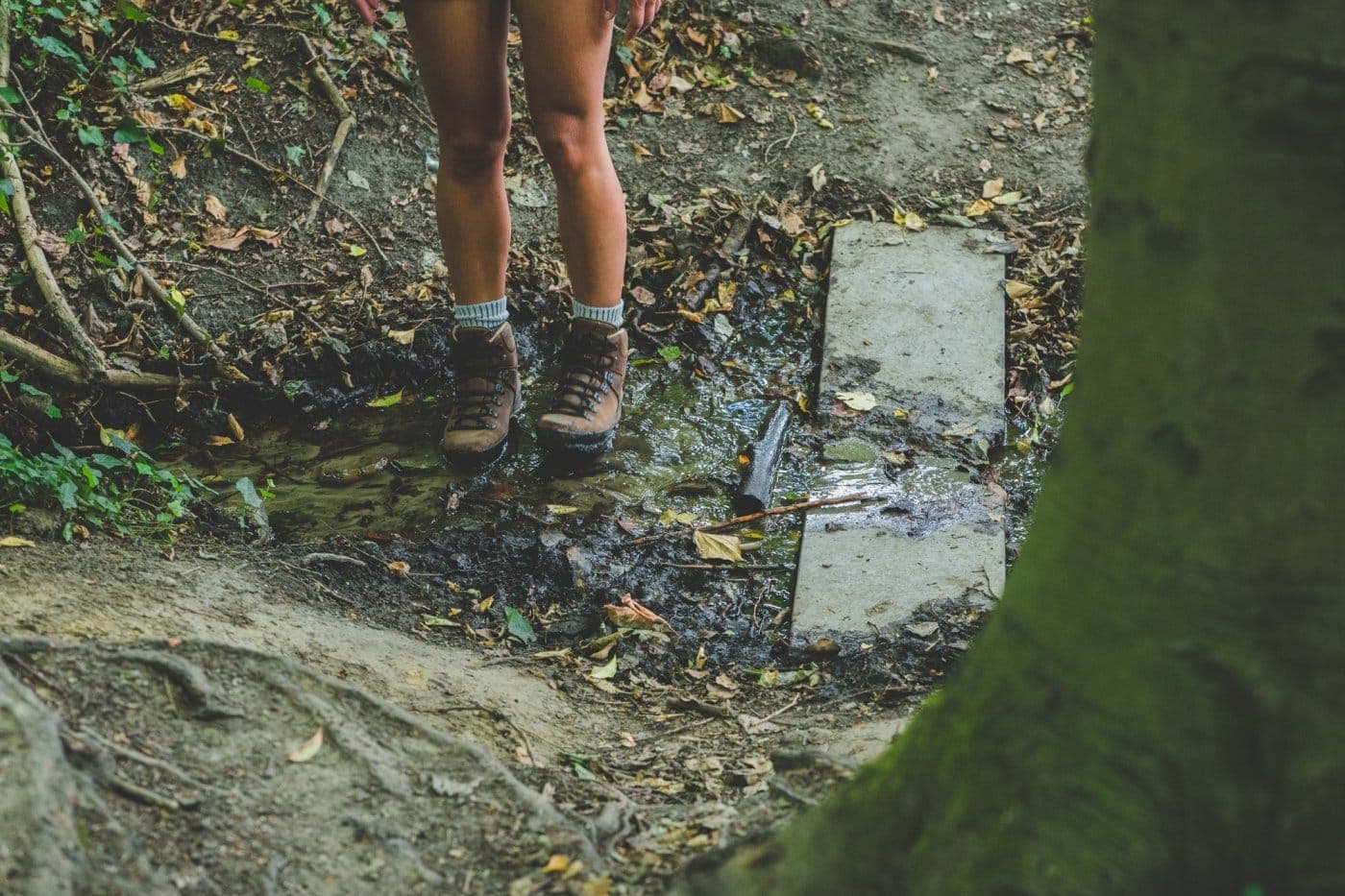 wandelen in vlaamse ardennen