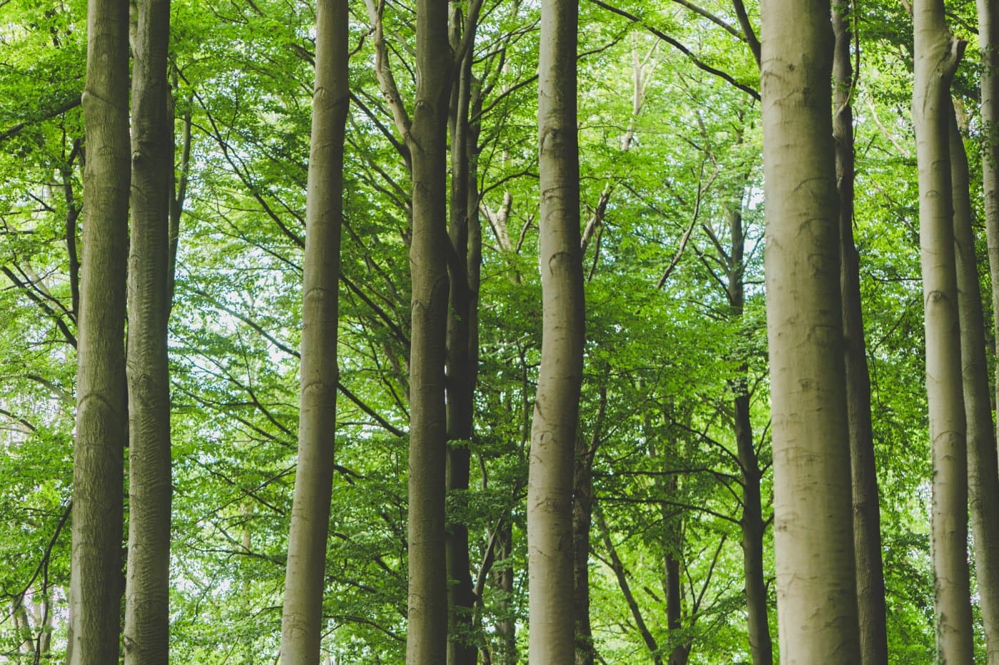 wandelnetwerken vlaanderen