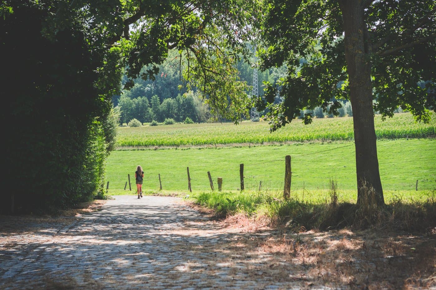 wandelen vlaamse ardennen