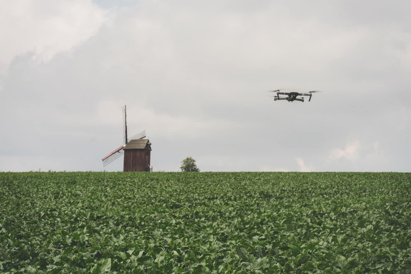 molens in de vlaamse ardennen