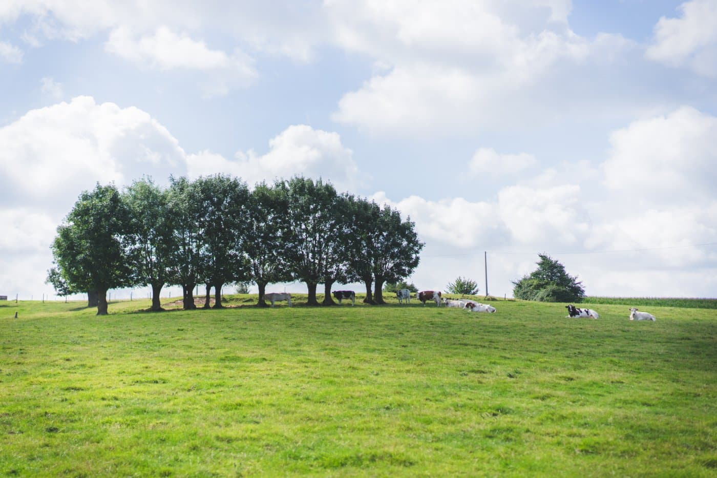 wandelroutes vlaamse ardennen