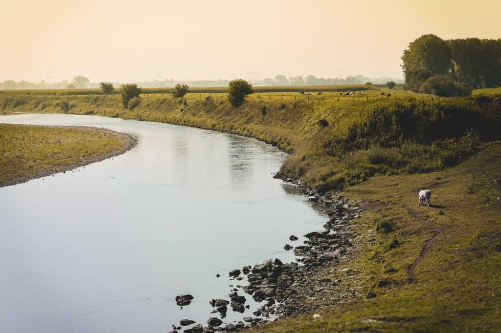 maasland wandelingen