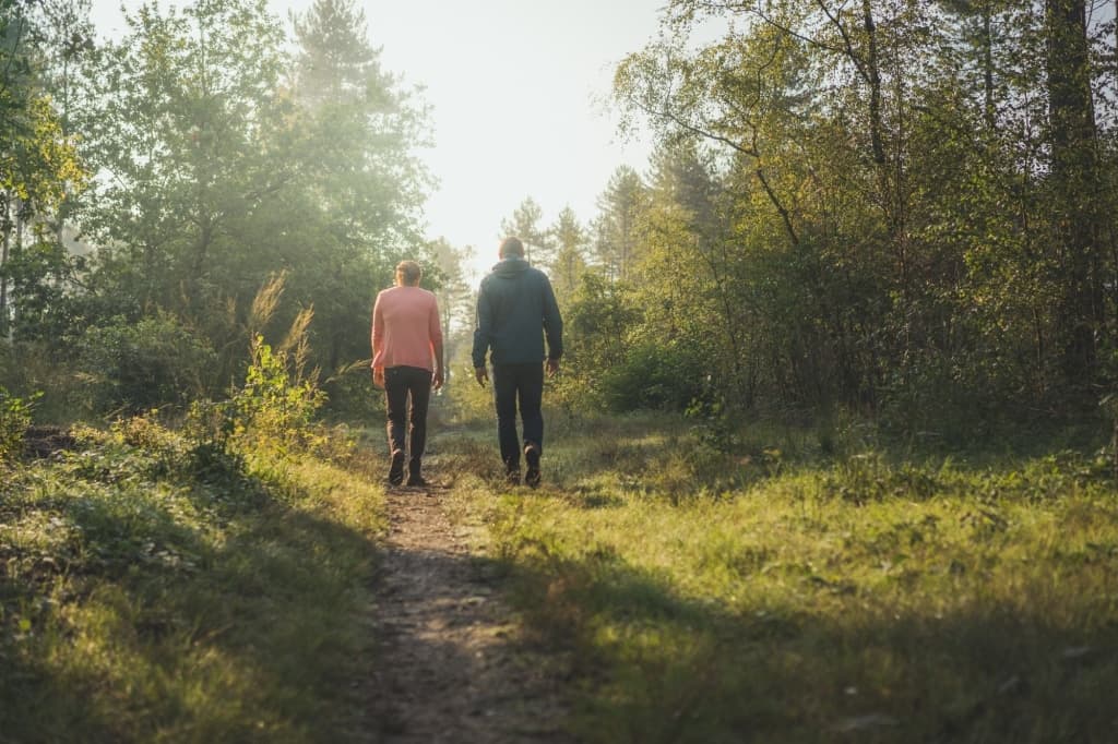 wandelnetwerk maaseik