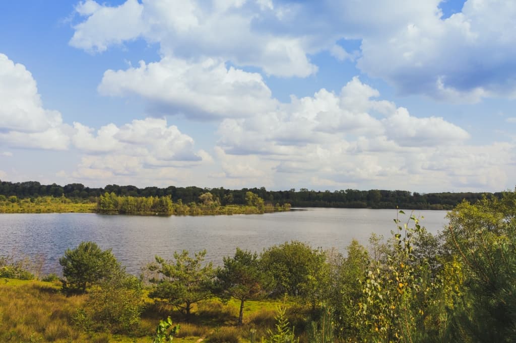 Wandelen in Maasland